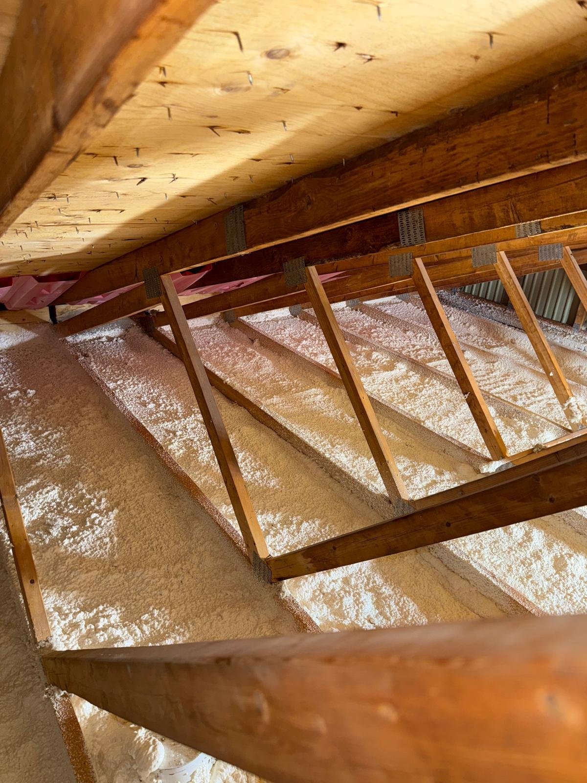 PHOTO-2025-09-23-09-09-13